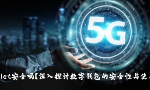 TPWallet安全吗？深入探讨数字钱包的安全性与使用体验