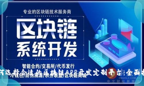 如何选择合适的区块链APP开发定制平台：全面指南