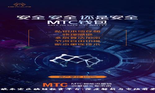 新加坡永宏区块链投资平台：深度解析与市场前景展望