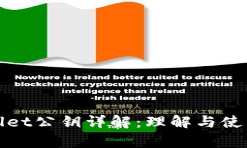 tpwallet公钥详解：理解与使用指南