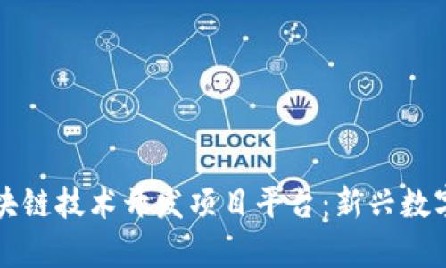 全面解析区块链技术开发项目平台：新兴数字经济的未来