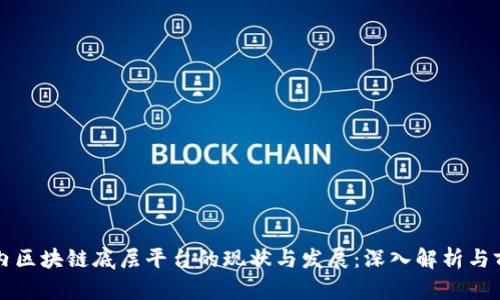 国内区块链底层平台的现状与发展：深入解析与前瞻